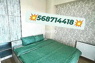 30 ლარი ღამე, ბინა დღიურად