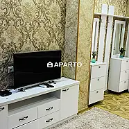 80 ლარი ღამე, ბინა დღიურად