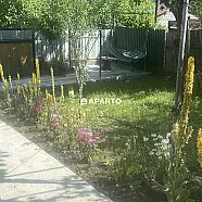 50 ლარი ღამე, ბინა დღიურად