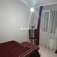 100 ლარი ღამე, ბინა დღიურად