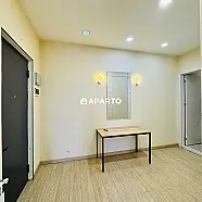 150 ლარი ღამე, ბინა დღიურად