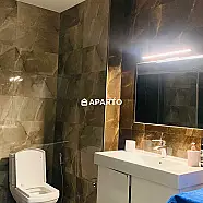250 ლარი ღამე, ბინა დღიურად