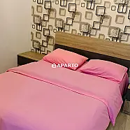 250 ლარი ღამე, ბინა დღიურად