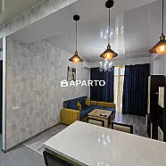 50 ლარი ღამე, ბინა დღიურად
