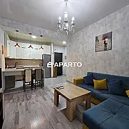 50 ლარი ღამე, ბინა დღიურად