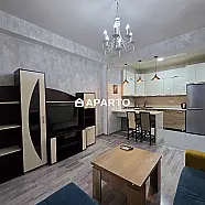 50 ლარი ღამე, ბინა დღიურად