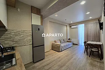 50 ლარი ღამე, ბინა დღიურად