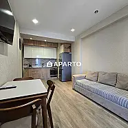 50 ლარი ღამე, ბინა დღიურად
