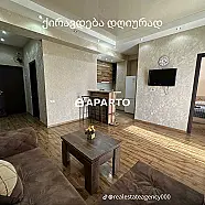 30 ლარი ღამე, ბინა დღიურად