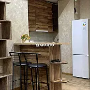 30 ლარი ღამე, ბინა დღიურად