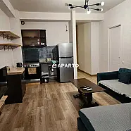 60 ლარი ღამე, ბინა დღიურად