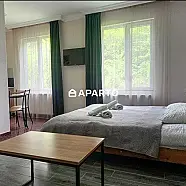 30 ლარი ღამე, ბინა დღიურად