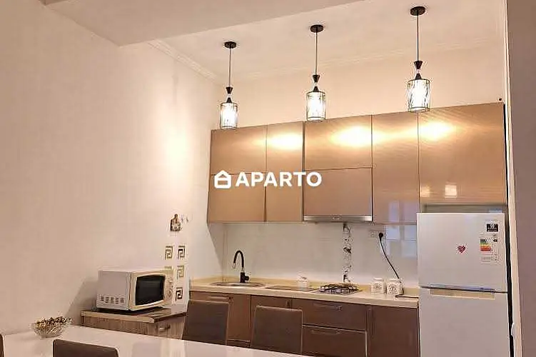 70 ლარი ღამე, ბინა დღიურად