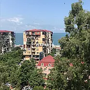 150 ლარი ღამე, ბინა დღიურად