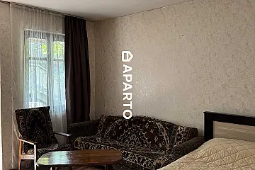 60 ლარი ღამე, ბინა დღიურად