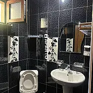60 ლარი ღამე, ბინა დღიურად