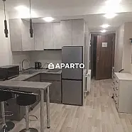 120 ლარი ღამე, ბინა დღიურად