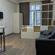 80 ლარი ღამე, ბინა დღიურად