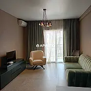 70 ლარი ღამე, ბინა დღიურად