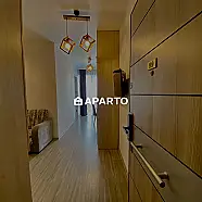 170 ლარი ღამე, ბინა დღიურად