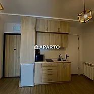 170 ლარი ღამე, ბინა დღიურად
