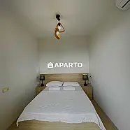 170 ლარი ღამე, ბინა დღიურად