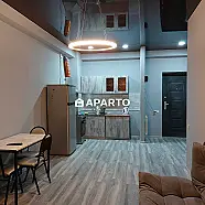 90 ლარი ღამე, ბინა დღიურად
