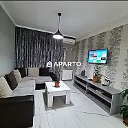 60 ლარი ღამე, ბინა დღიურად