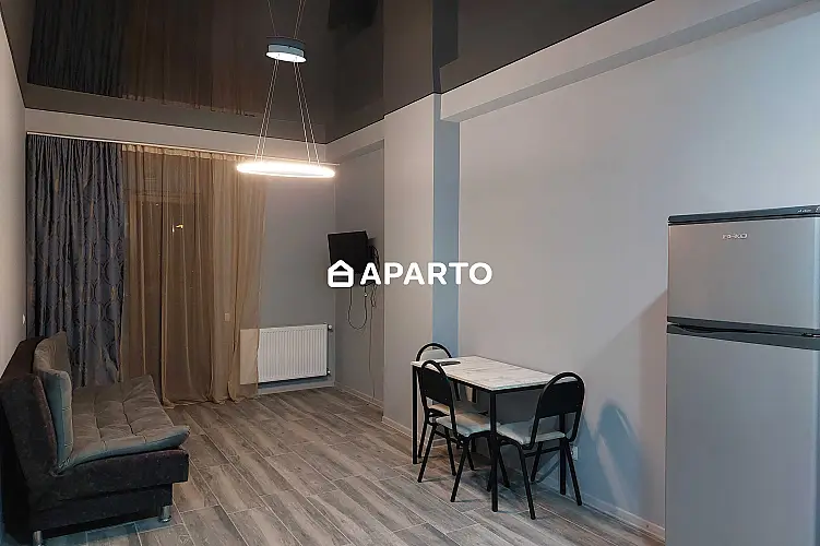 90 ლარი ღამე, ბინა დღიურად