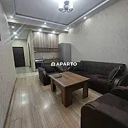 50 ლარი ღამე, ბინა დღიურად