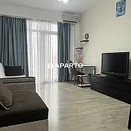 170 ლარი ღამე, ბინა დღიურად