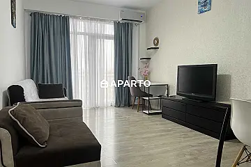 170 ლარი ღამე, ბინა დღიურად