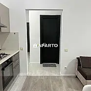 170 ლარი ღამე, ბინა დღიურად