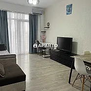 170 ლარი ღამე, ბინა დღიურად