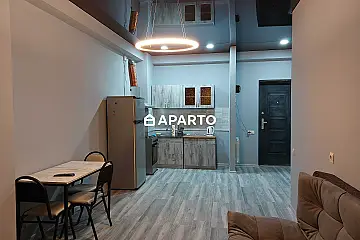 90 ლარი ღამე, ბინა დღიურად