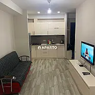 60 ლარი ღამე, ბინა დღიურად