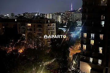 190 ლარი ღამე, ბინა დღიურად