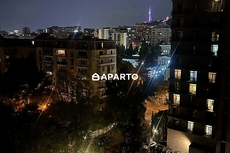190 ლარი ღამე, ბინა დღიურად