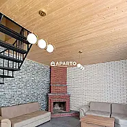 300 ლარი ღამე, ბინა დღიურად