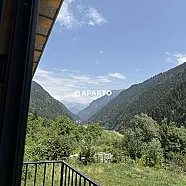 300 ლარი ღამე, ბინა დღიურად