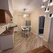 50 ლარი ღამე, ბინა დღიურად