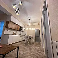50 ლარი ღამე, ბინა დღიურად