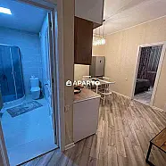 50 ლარი ღამე, ბინა დღიურად