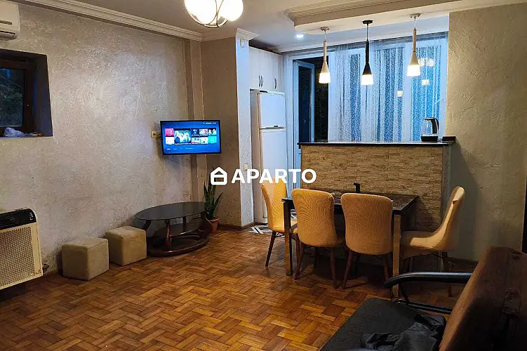 120 ლარი ღამე, ბინა დღიურად