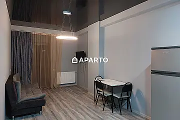 90 ლარი ღამე, ბინა დღიურად