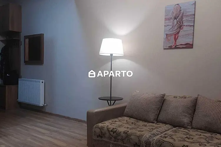 80 ლარი ღამე, ბინა დღიურად