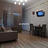 80 ლარი ღამე, ბინა დღიურად