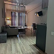 80 ლარი ღამე, ბინა დღიურად