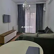60 ლარი ღამე, ბინა დღიურად