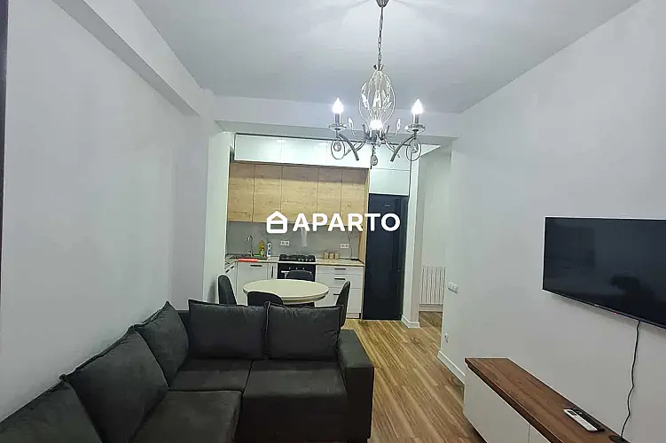 60 ლარი ღამე, ბინა დღიურად